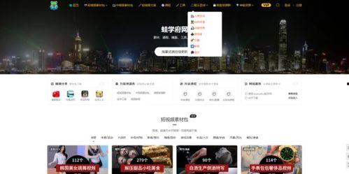 网飞猫视频网页版 